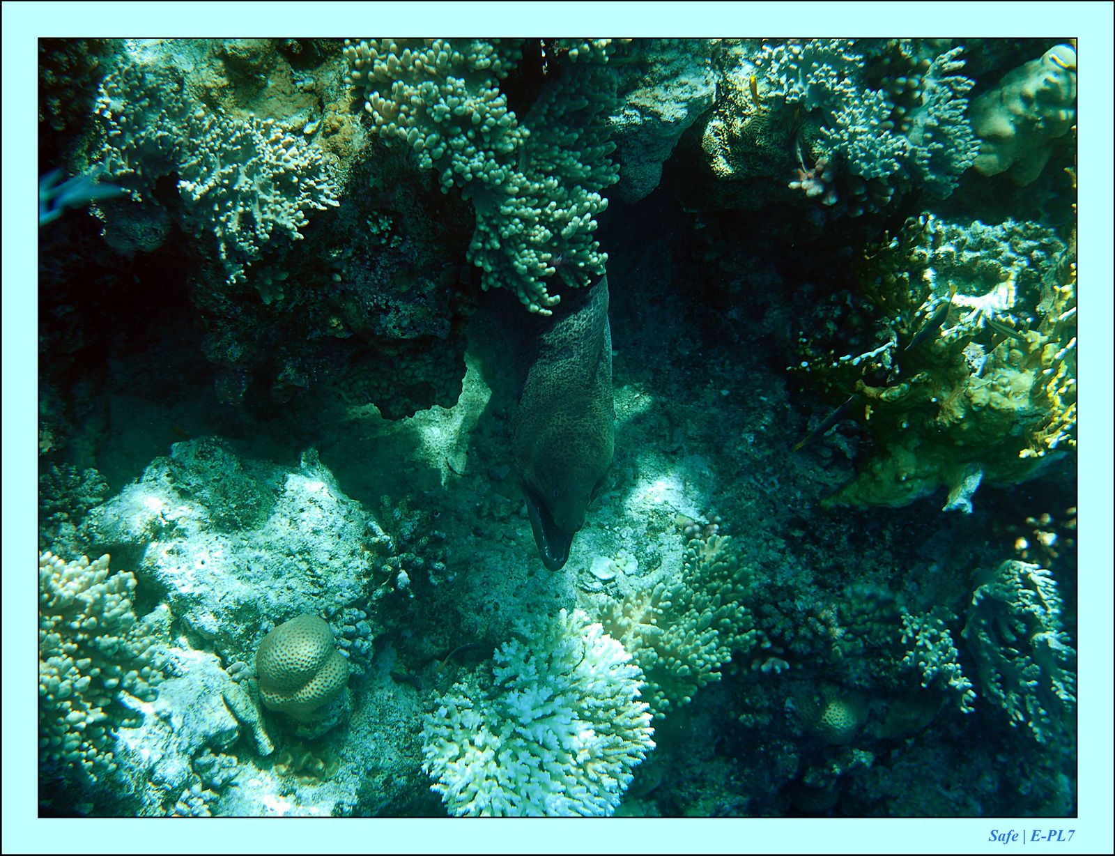 Hurghada - Aout 2021 - 023